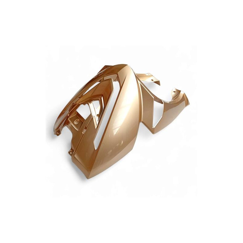 IVA Z1000 Voorkap Champagne | IVA Dealer