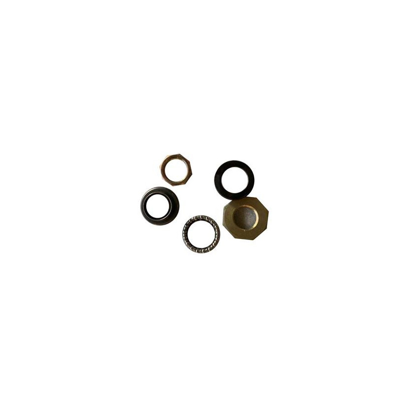 IVA E-GO S2 Balhoofdlager Set | IVA Dealer
